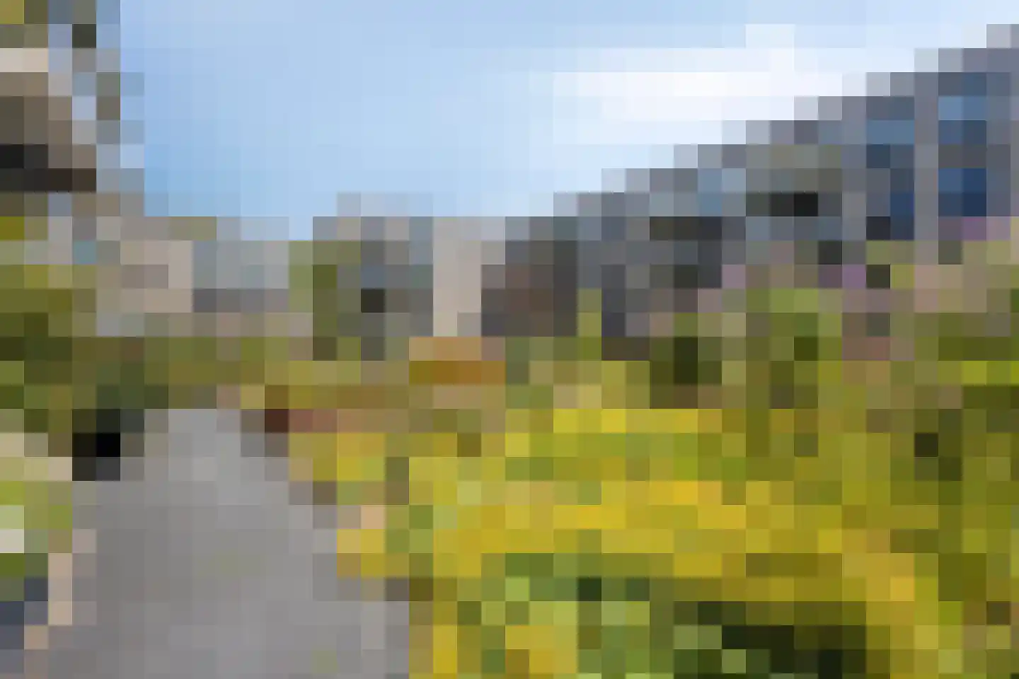 Raadhuisstraat 236 Heemskerk thumbnail 22