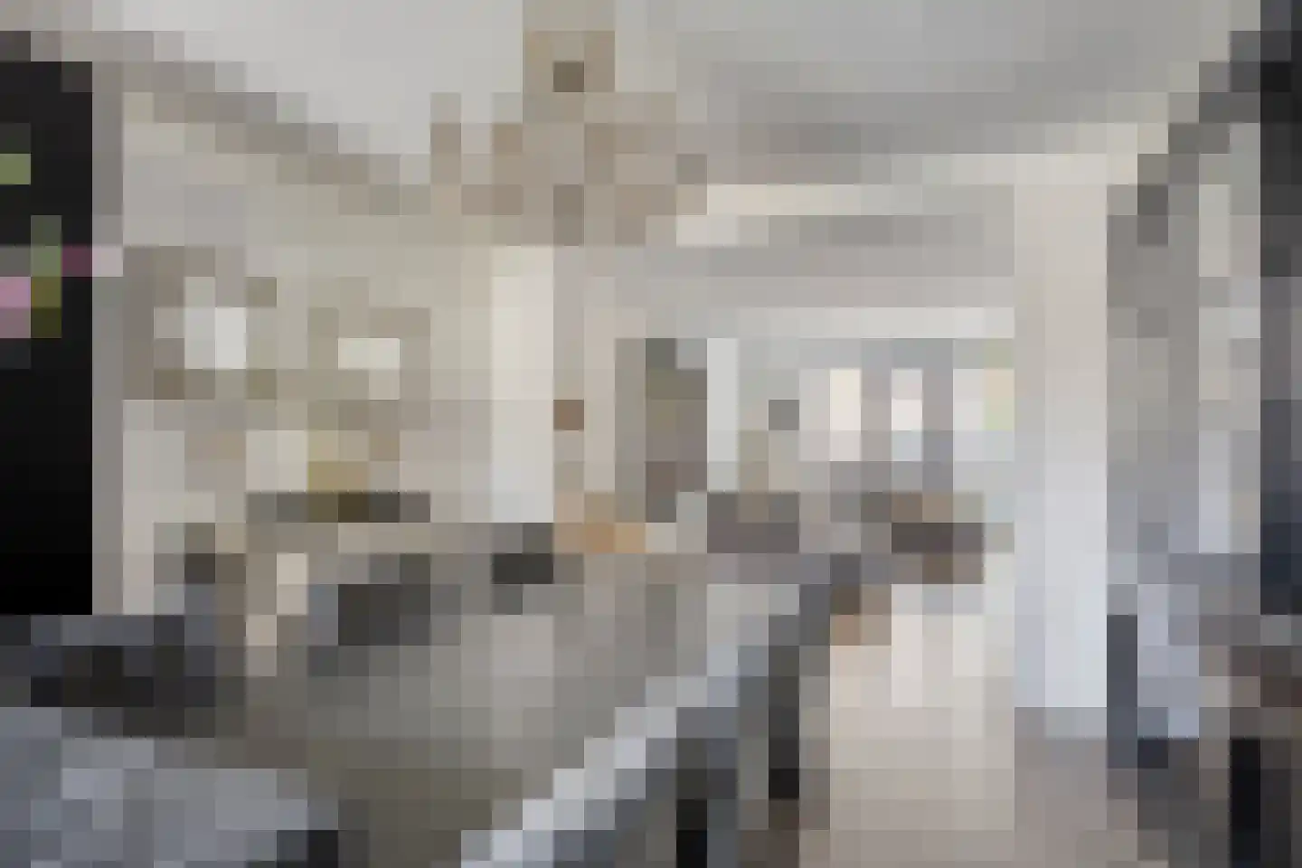 Raadhuisstraat 236 Heemskerk thumbnail 6