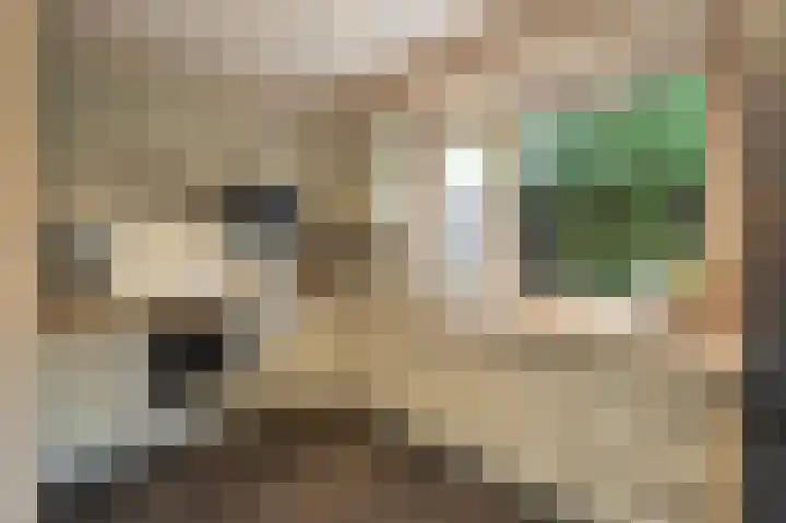 Raadhuisstraat 24 Hulsberg thumbnail 10