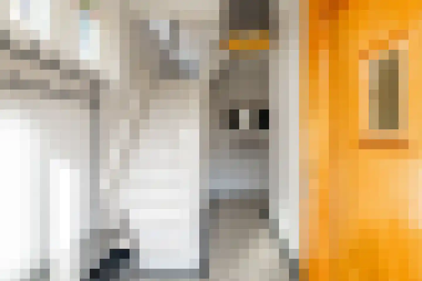 Raadhuisstraat 24 Nijkerk thumbnail 15