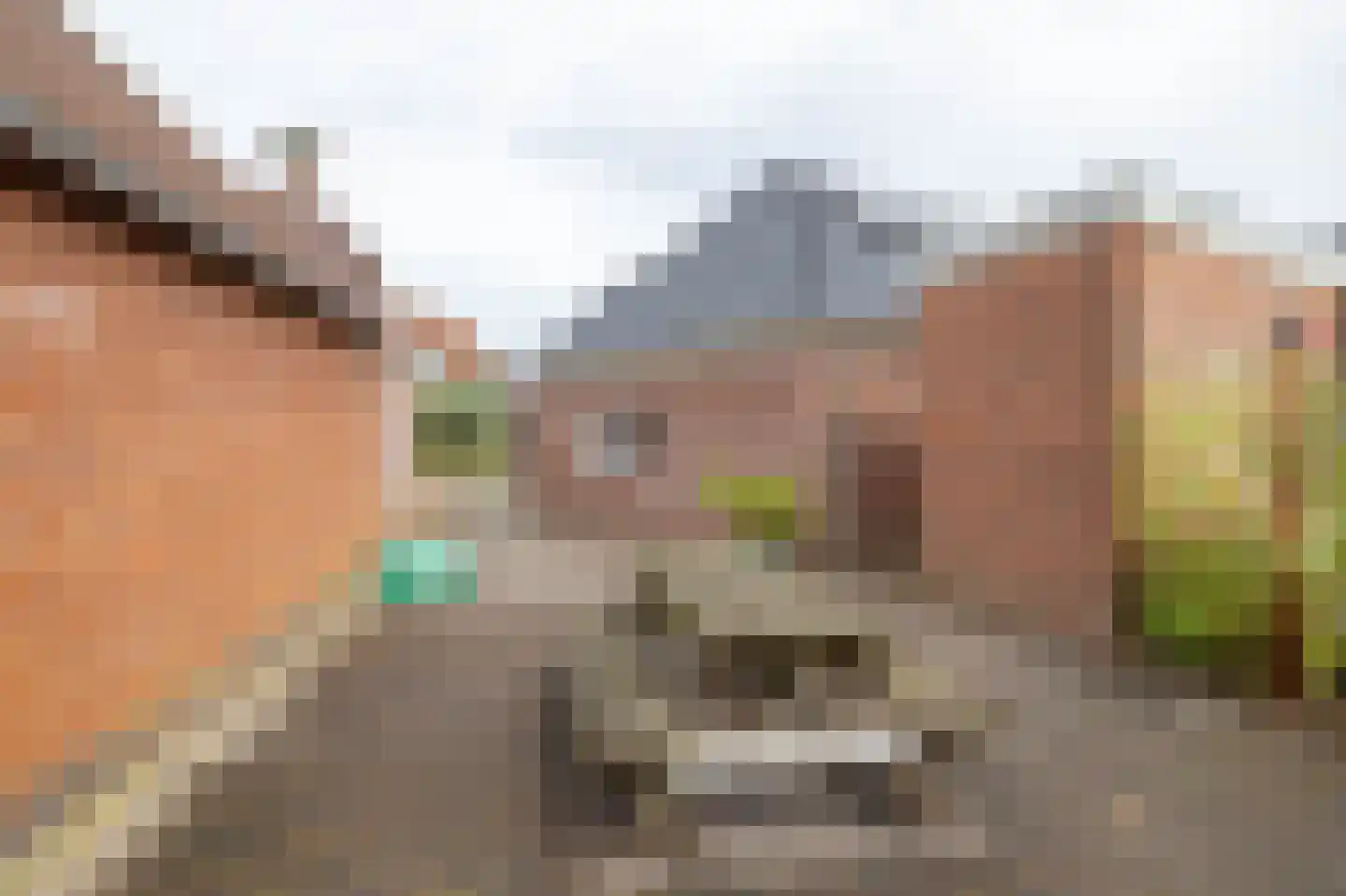 Raadhuisstraat 24 Usquert thumbnail 44