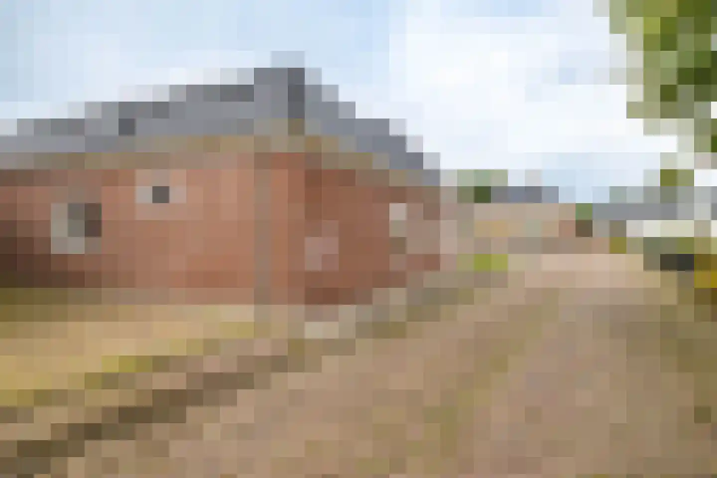Raadhuisstraat 24 Usquert thumbnail 46
