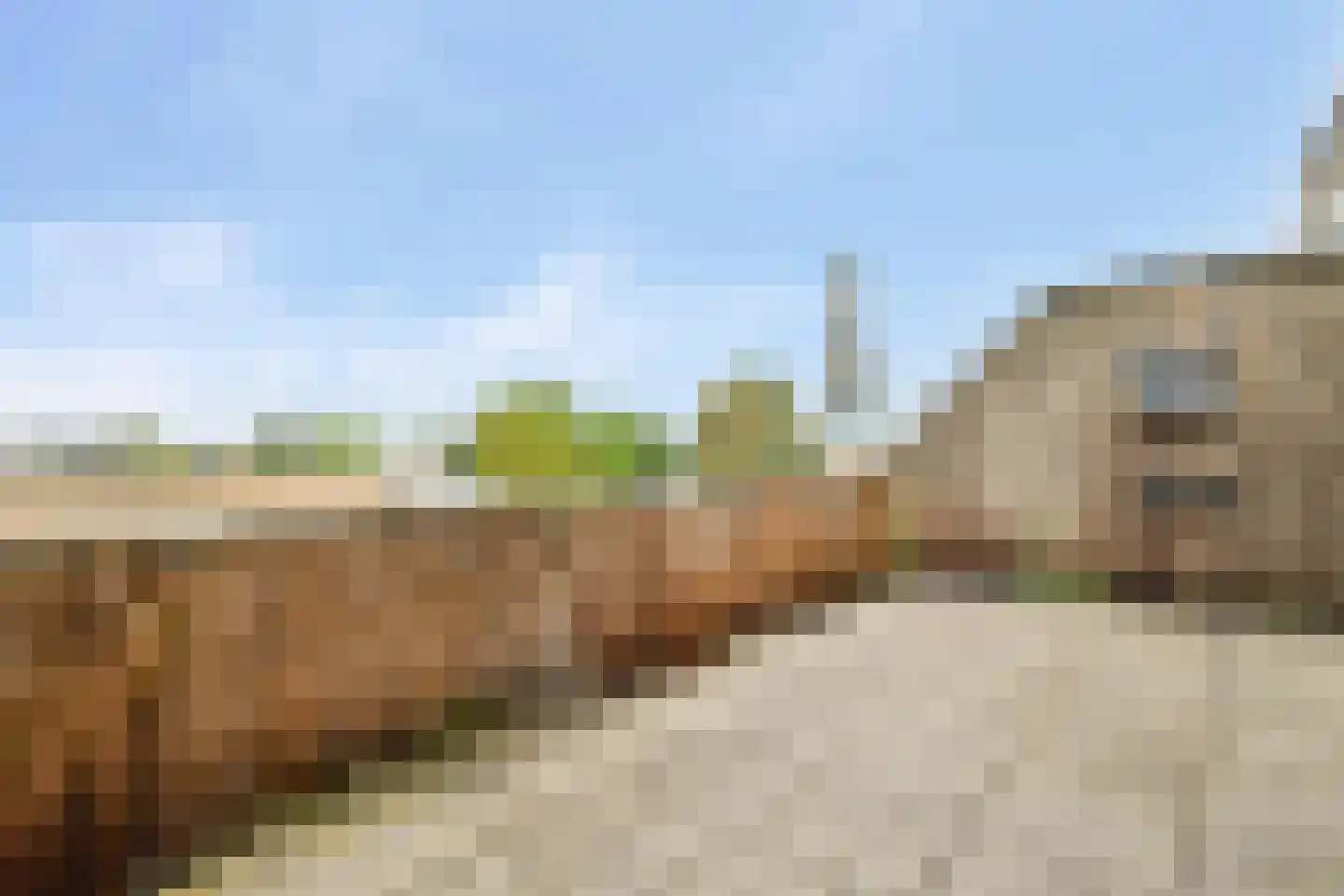 Raadhuisstraat 24 Zeewolde thumbnail 13