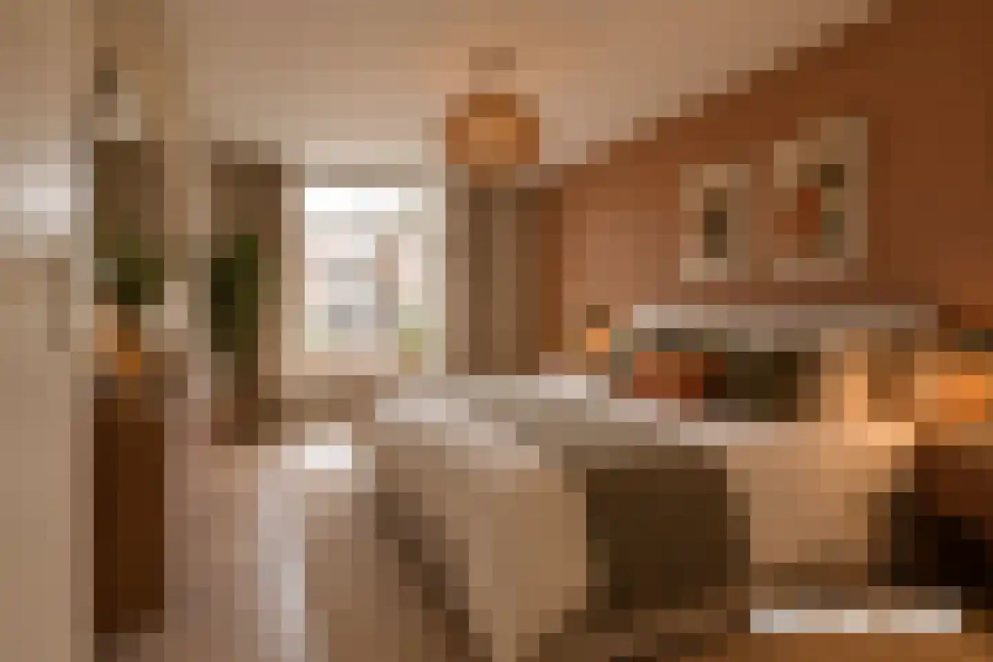 Raadhuisstraat 241 Alphen aan den Rijn thumbnail 21