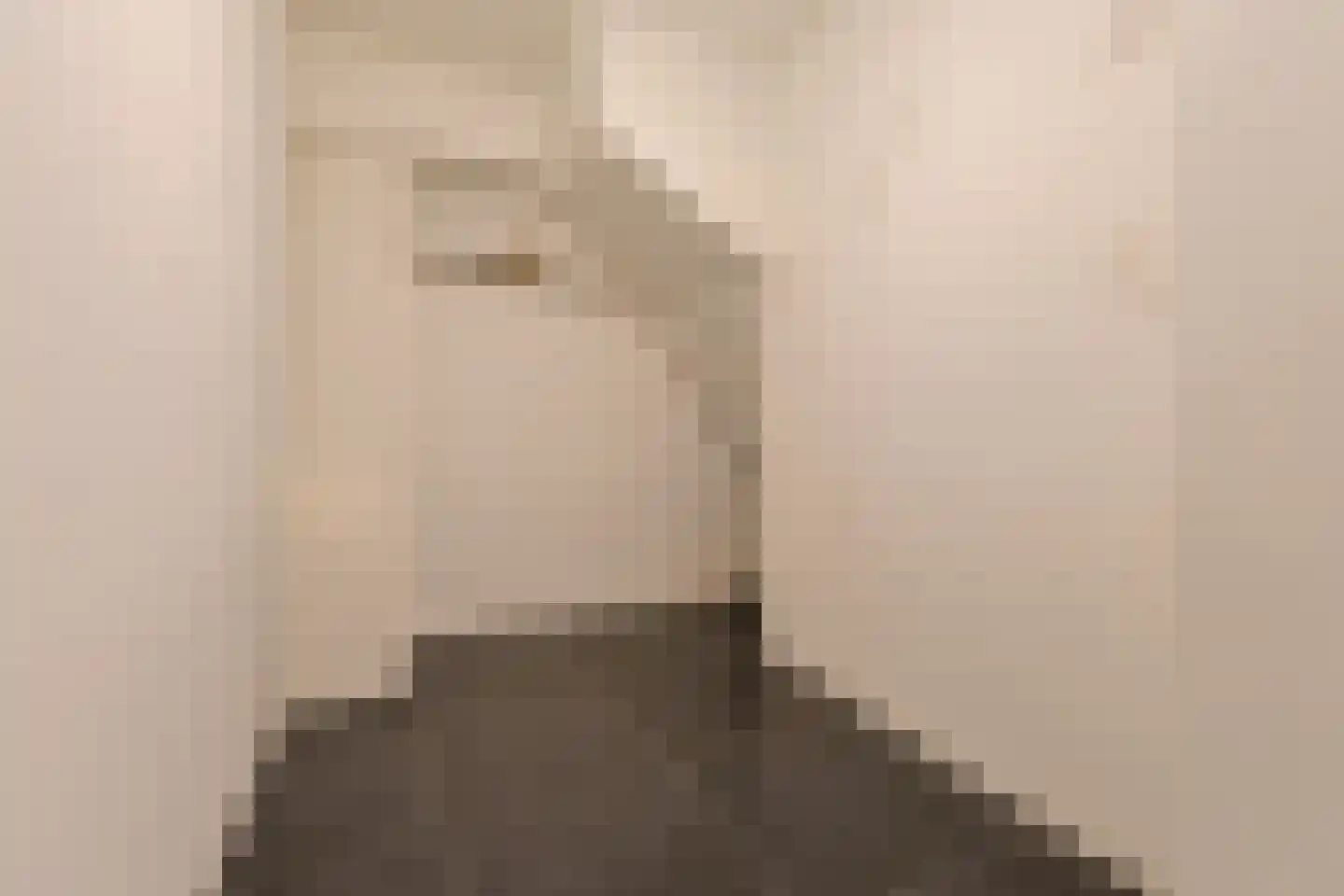 Raadhuisstraat 241 Alphen aan den Rijn thumbnail 36