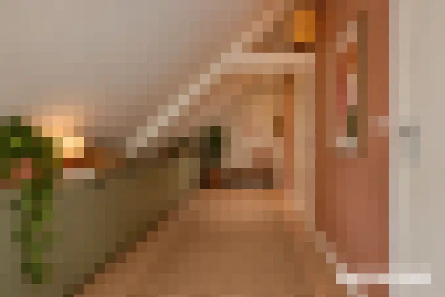 Raadhuisstraat 241 B Alphen aan den Rijn thumbnail 36