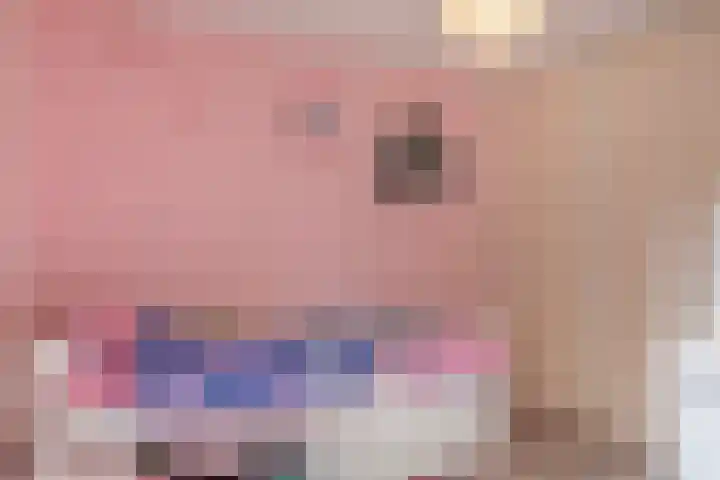 Raadhuisstraat 243 Best thumbnail 12