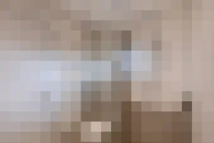 Raadhuisstraat 243 Best thumbnail 21