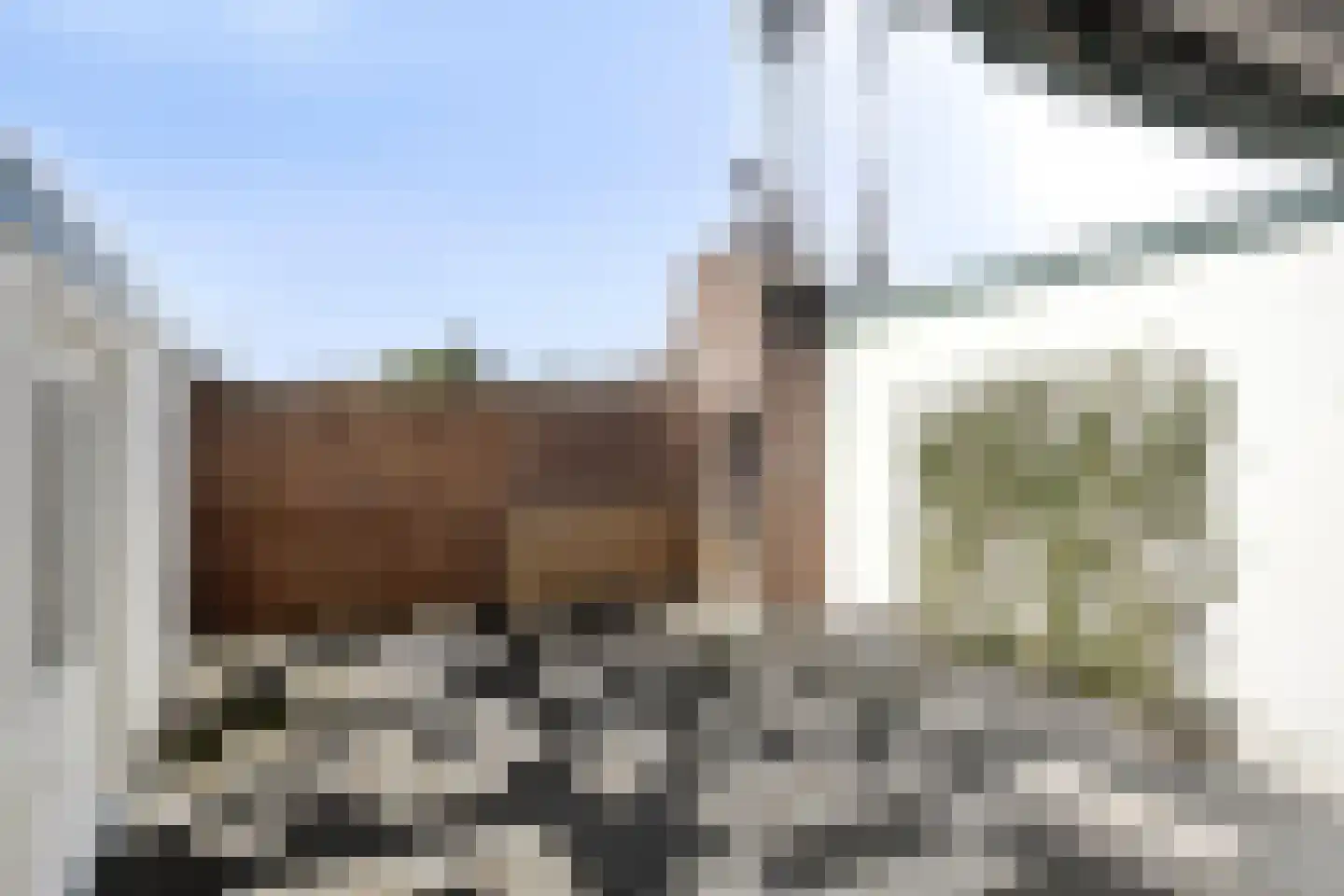 Raadhuisstraat 25 Beek thumbnail 17