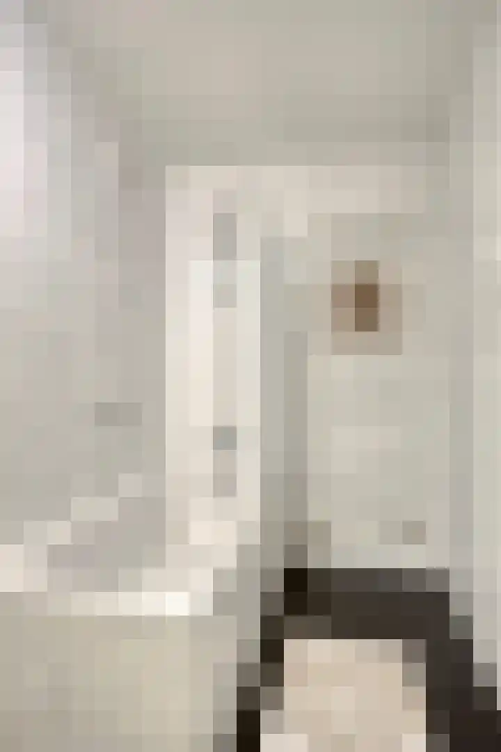 Raadhuisstraat 25 Beek thumbnail 27