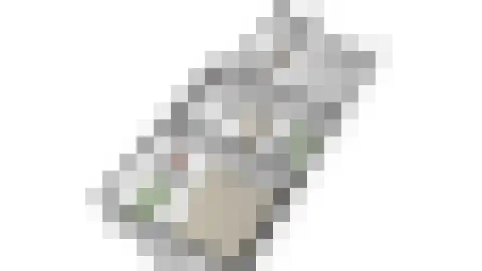 Raadhuisstraat 25 Beek thumbnail 42