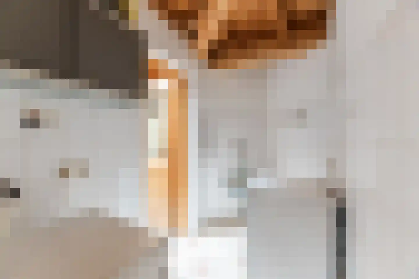 Raadhuisstraat 25 Berkel-Enschot thumbnail 10