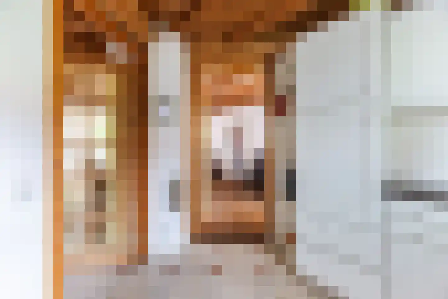 Raadhuisstraat 25 Berkel-Enschot thumbnail 12