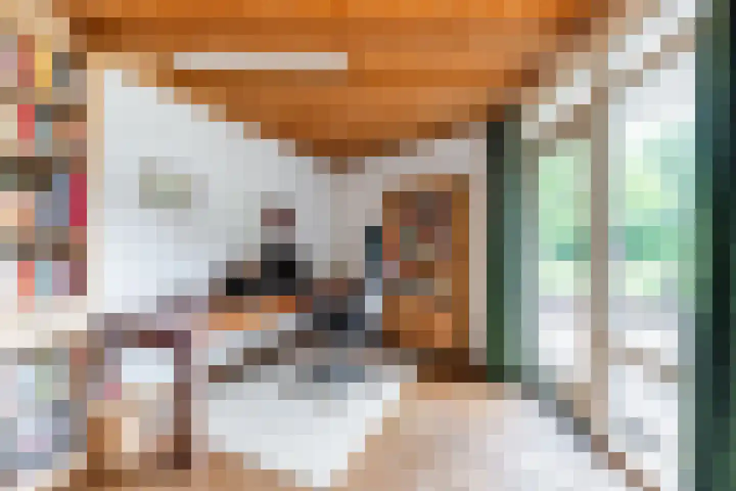 Raadhuisstraat 25 Berkel-Enschot thumbnail 13