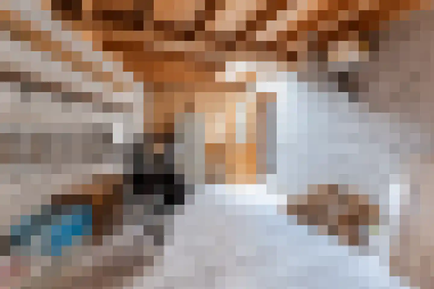 Raadhuisstraat 25 Berkel-Enschot thumbnail 19