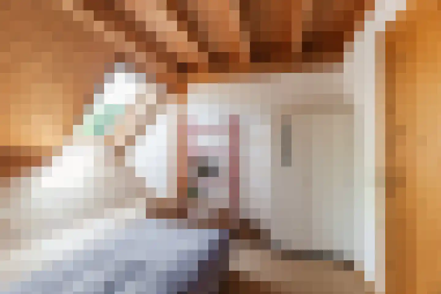 Raadhuisstraat 25 Berkel-Enschot thumbnail 31