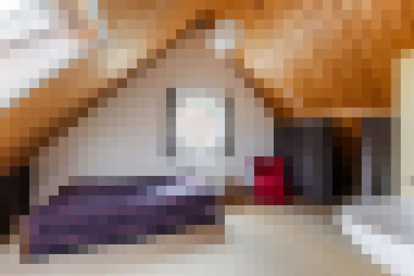 Raadhuisstraat 25 Berkel-Enschot thumbnail 36