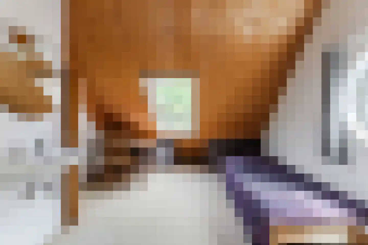 Raadhuisstraat 25 Berkel-Enschot thumbnail 37