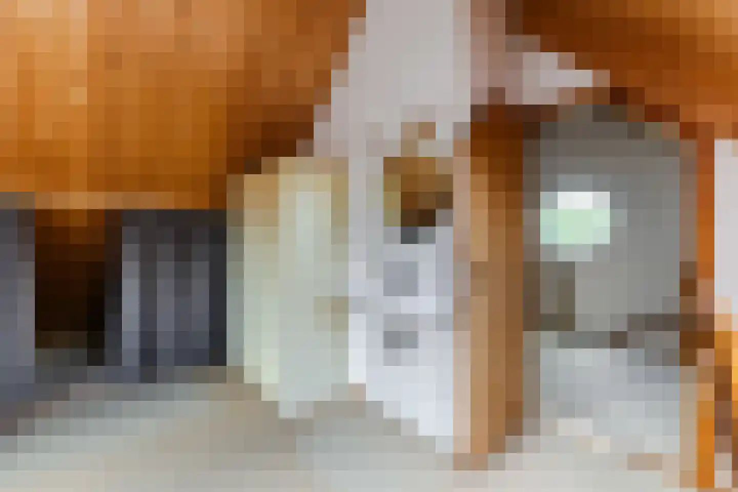 Raadhuisstraat 25 Berkel-Enschot thumbnail 39
