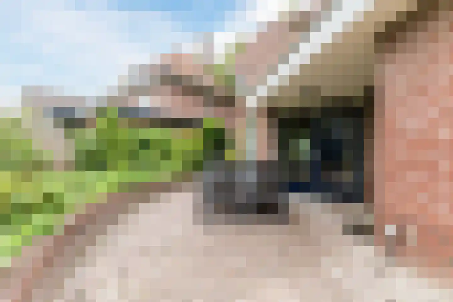 Raadhuisstraat 25 Berkel-Enschot thumbnail 42