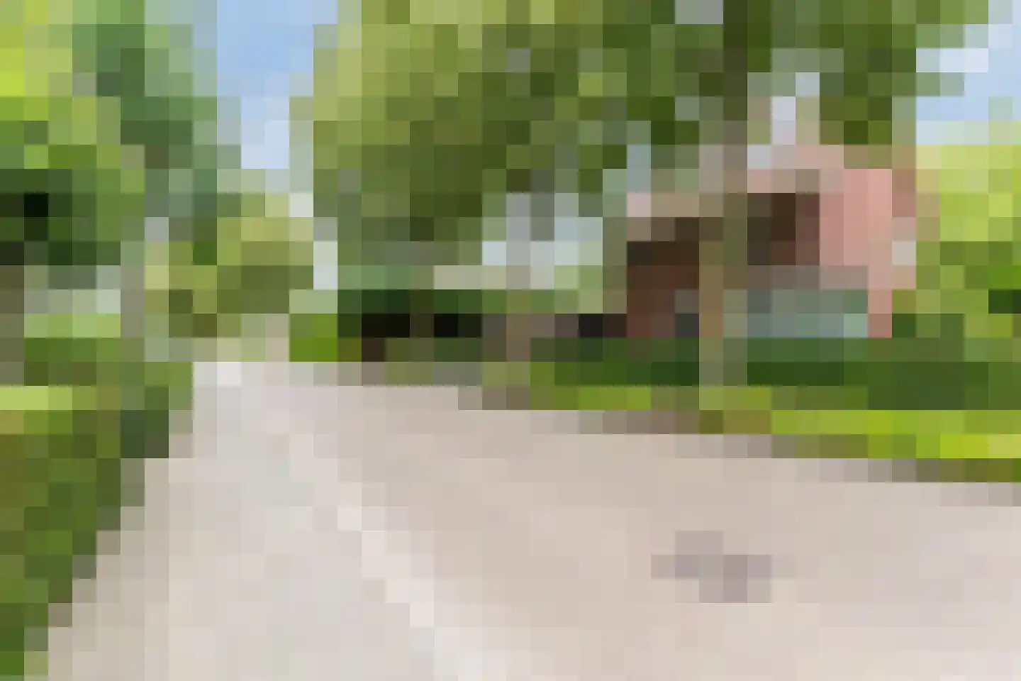 Raadhuisstraat 25 Berkel-Enschot thumbnail 48