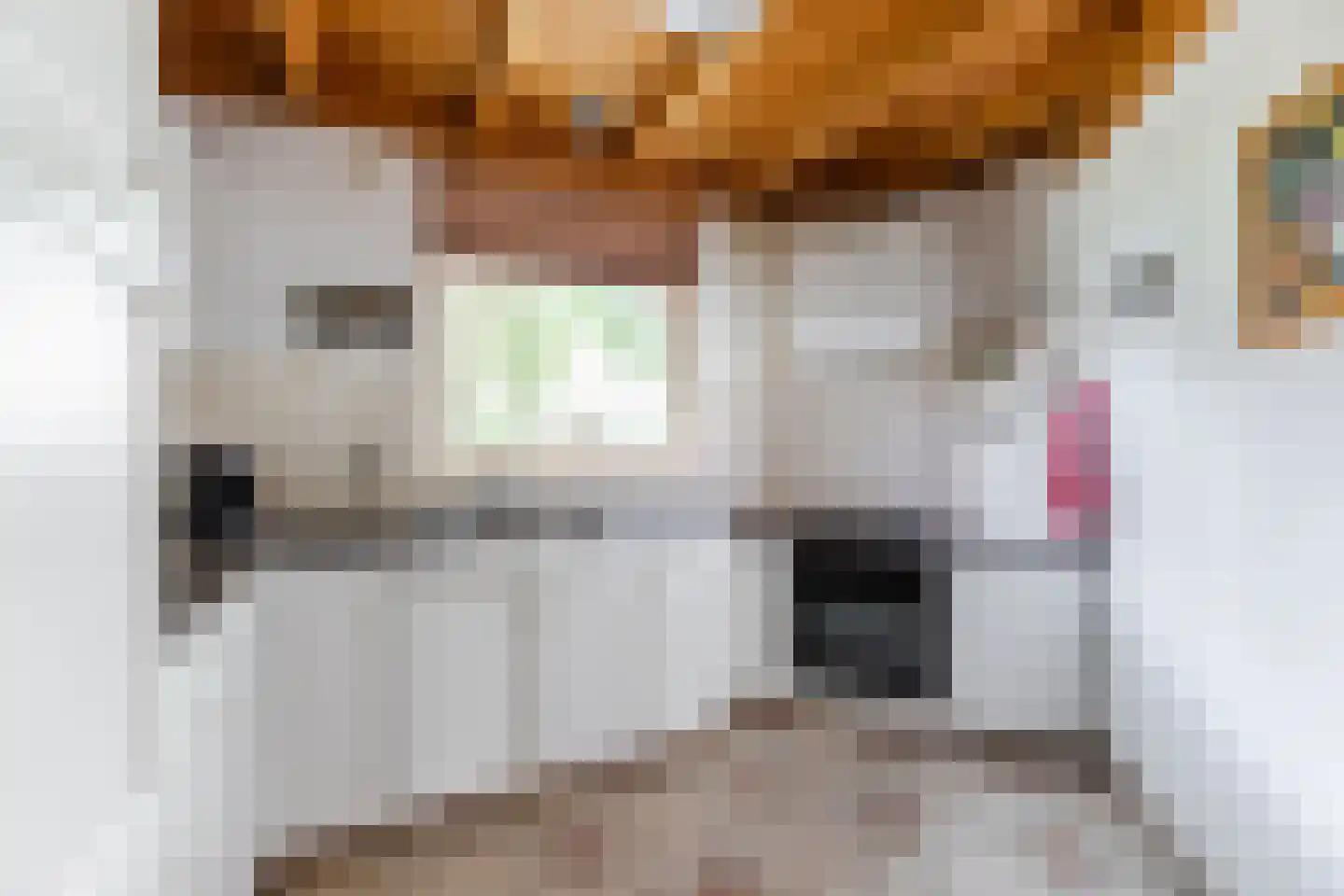Raadhuisstraat 25 Berkel-Enschot thumbnail 8