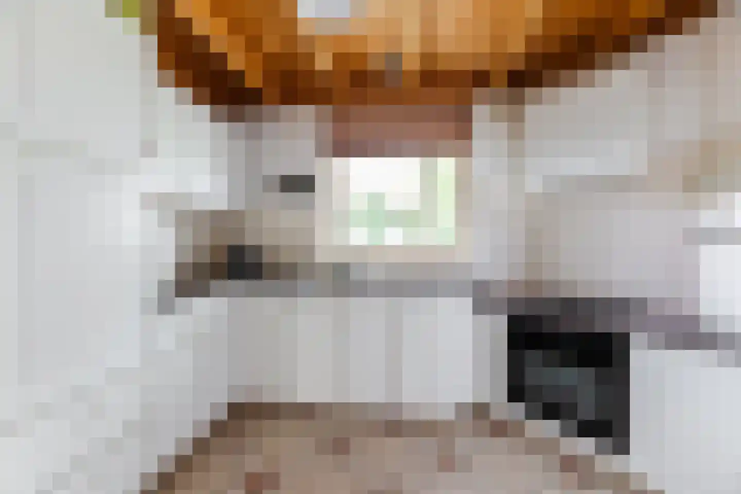 Raadhuisstraat 25 Berkel-Enschot thumbnail 9