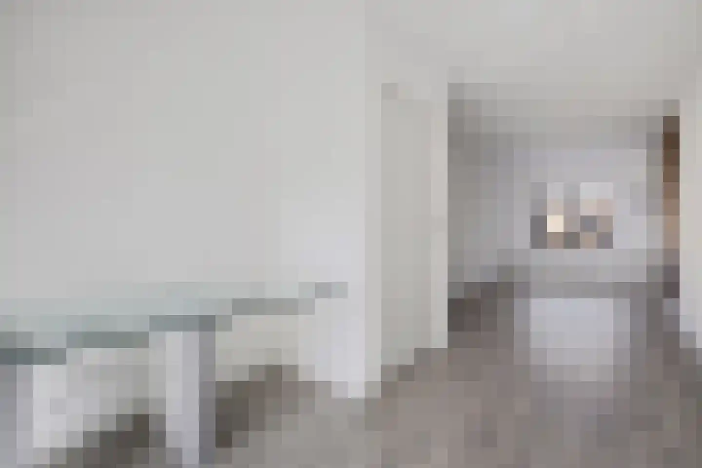 Raadhuisstraat 25 Dirkshorn thumbnail 12