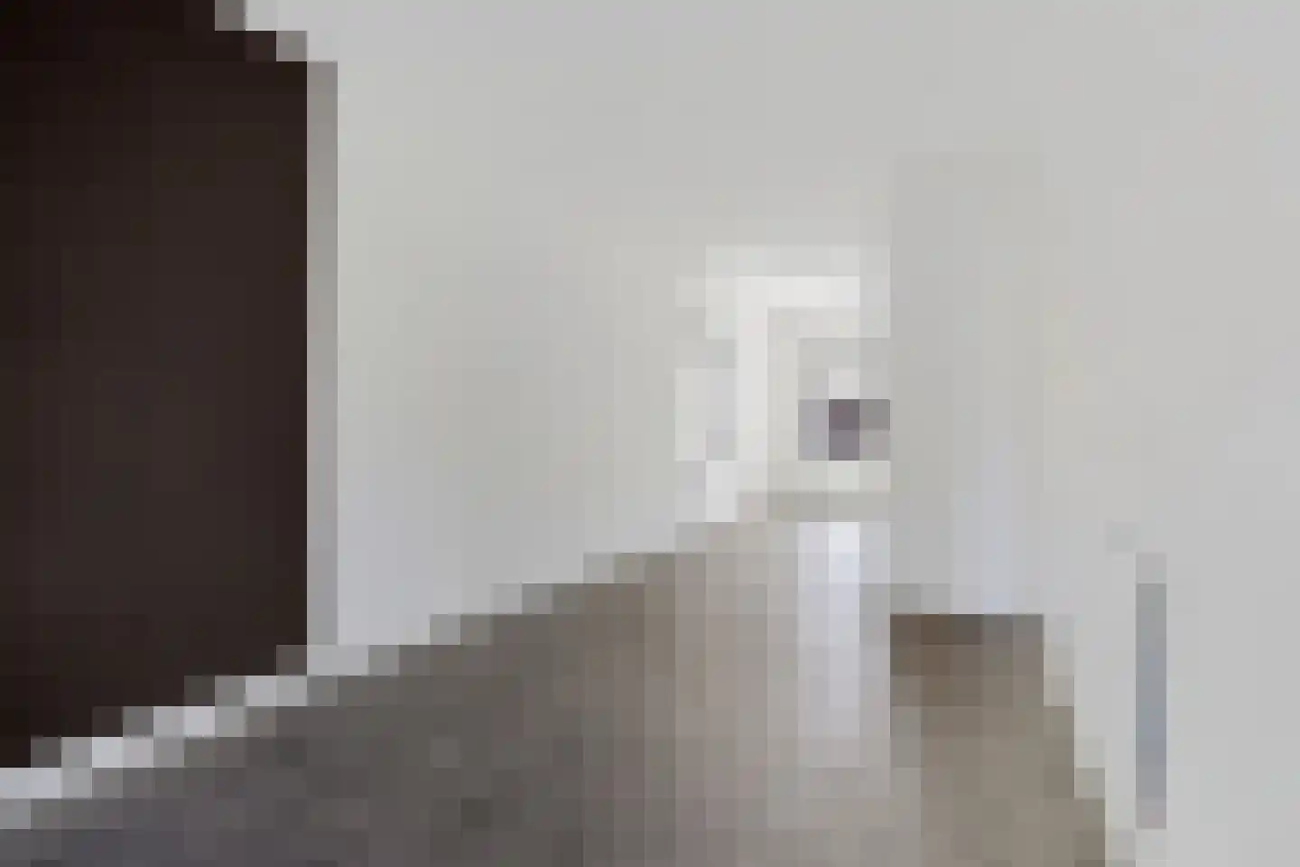 Raadhuisstraat 25 Dirkshorn thumbnail 14