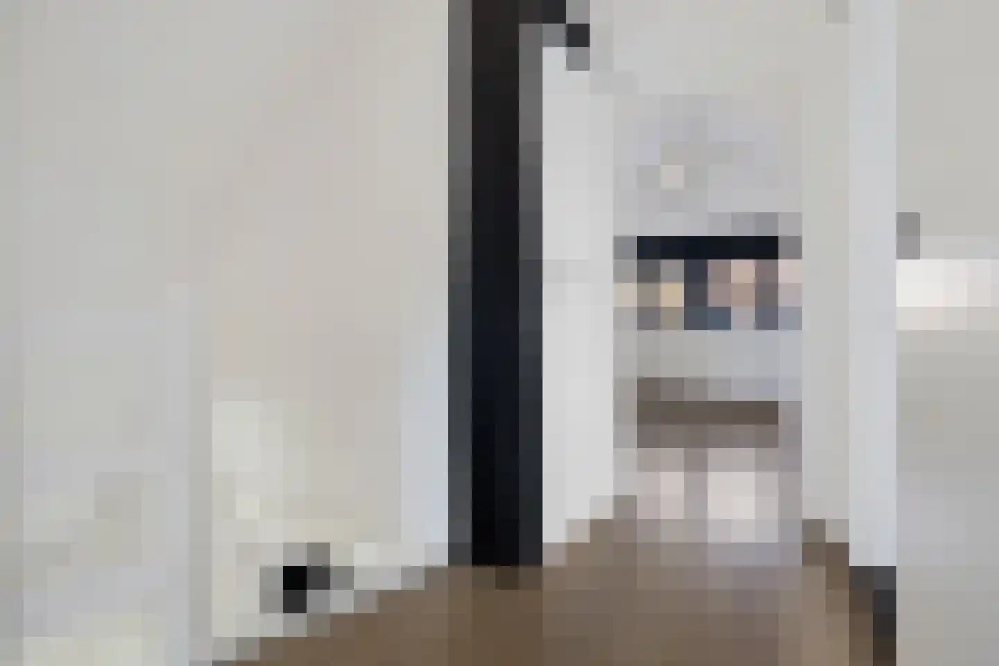 Raadhuisstraat 25 Dirkshorn thumbnail 20