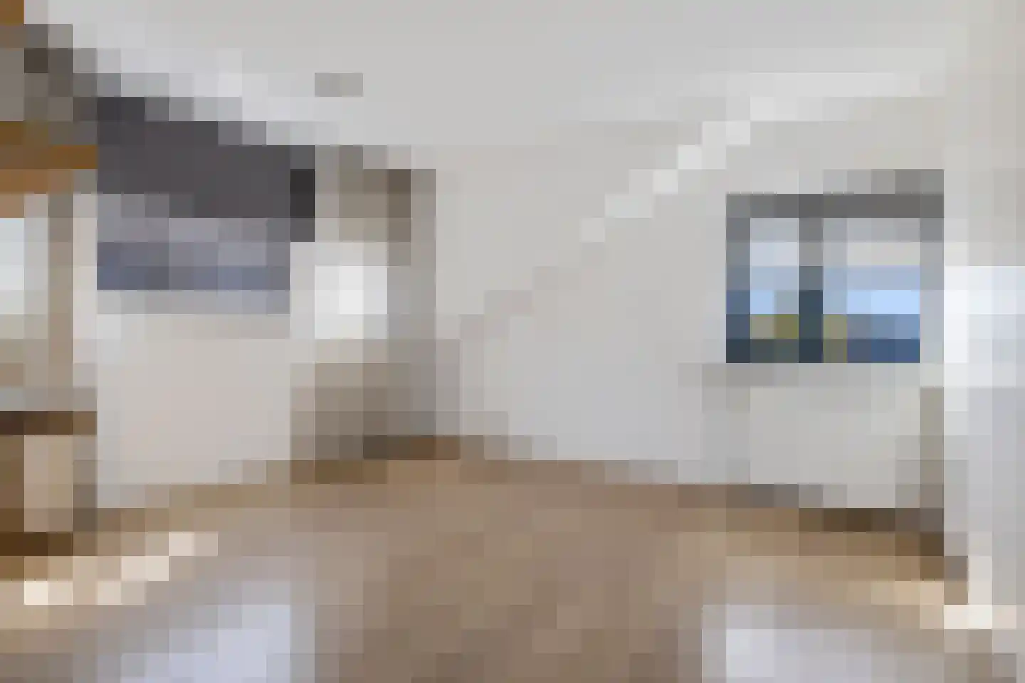 Raadhuisstraat 25 Dirkshorn thumbnail 24