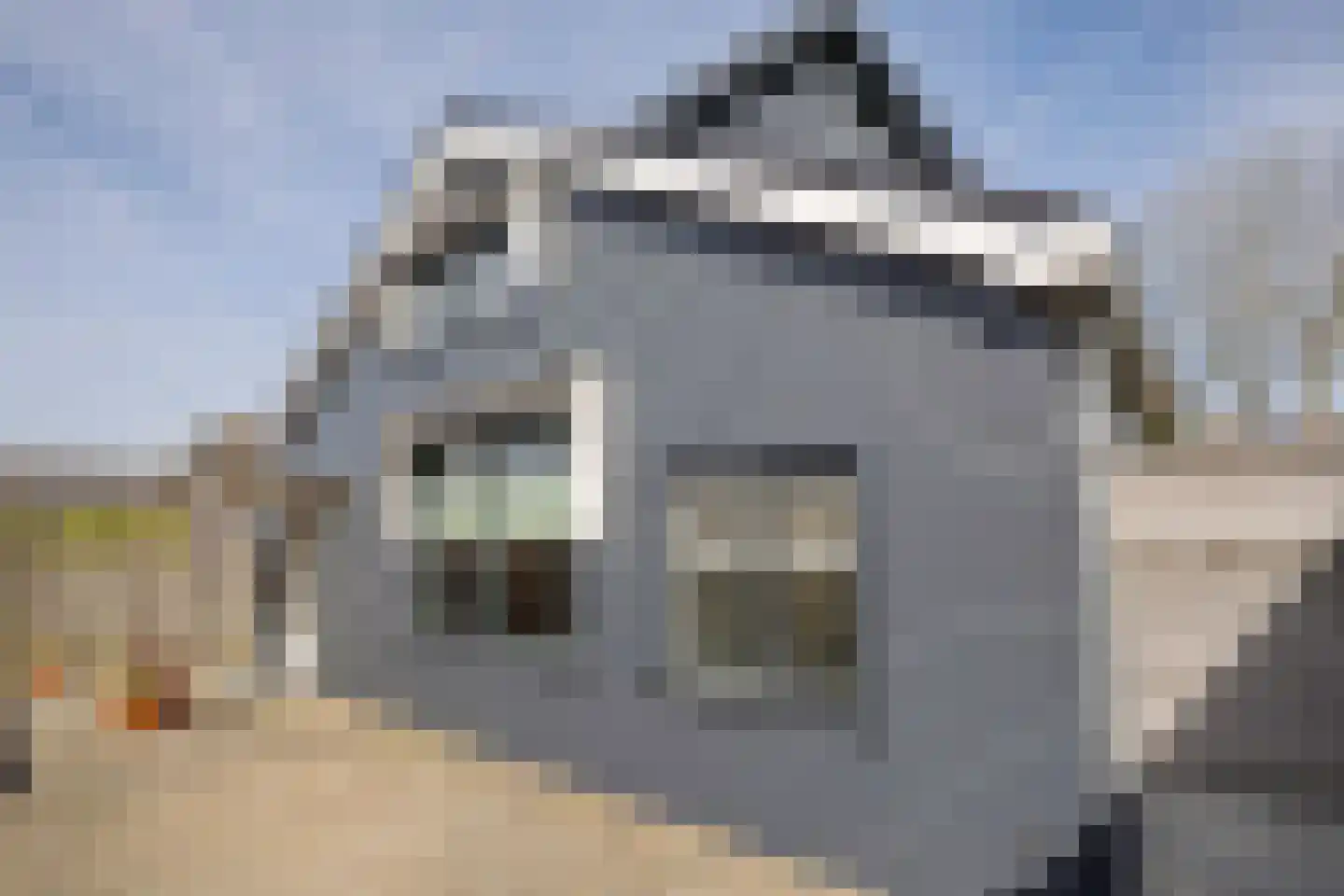 Raadhuisstraat 25 Dirkshorn thumbnail 36