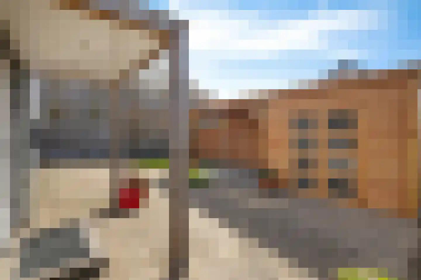 Raadhuisstraat 25 Dirkshorn thumbnail 38