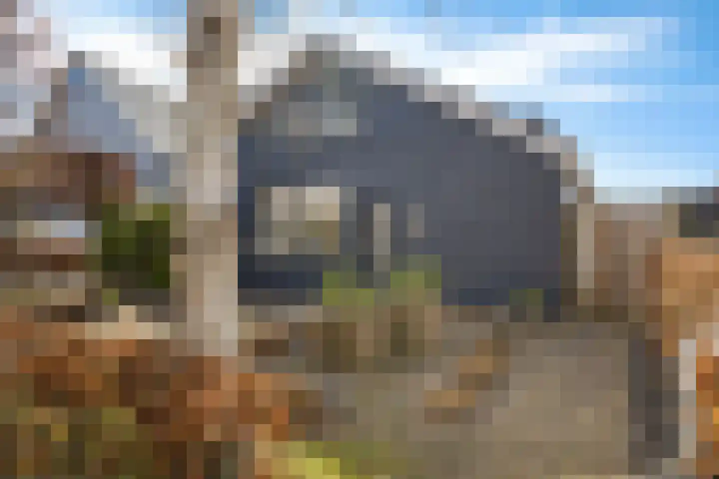 Raadhuisstraat 25 Dirkshorn thumbnail 39
