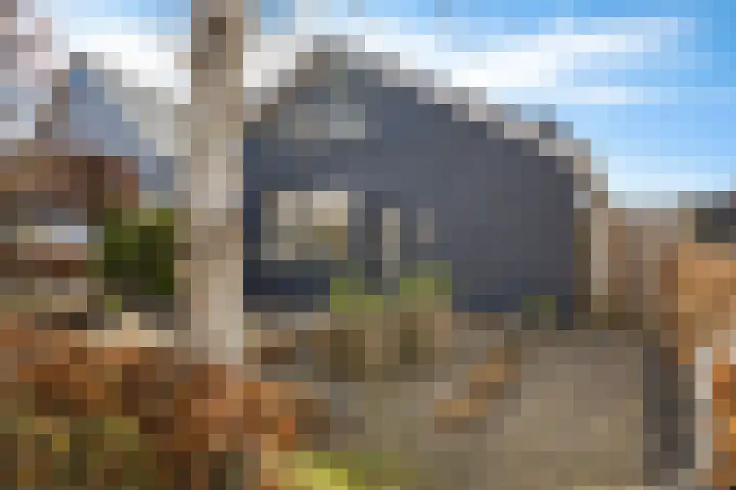 Raadhuisstraat 25 Dirkshorn thumbnail 39