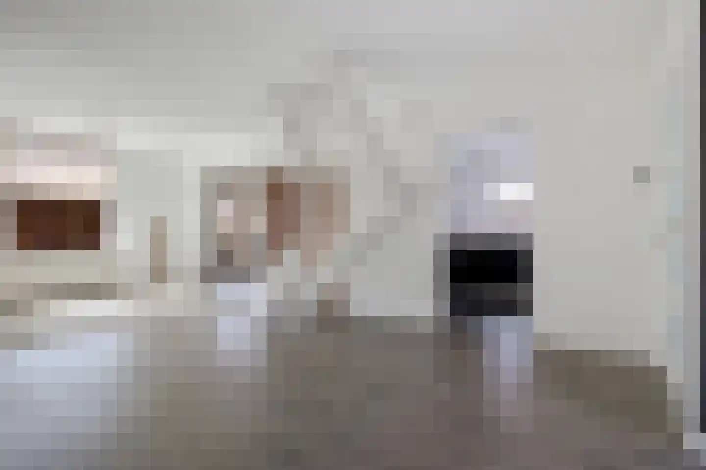 Raadhuisstraat 25 Dirkshorn thumbnail 7