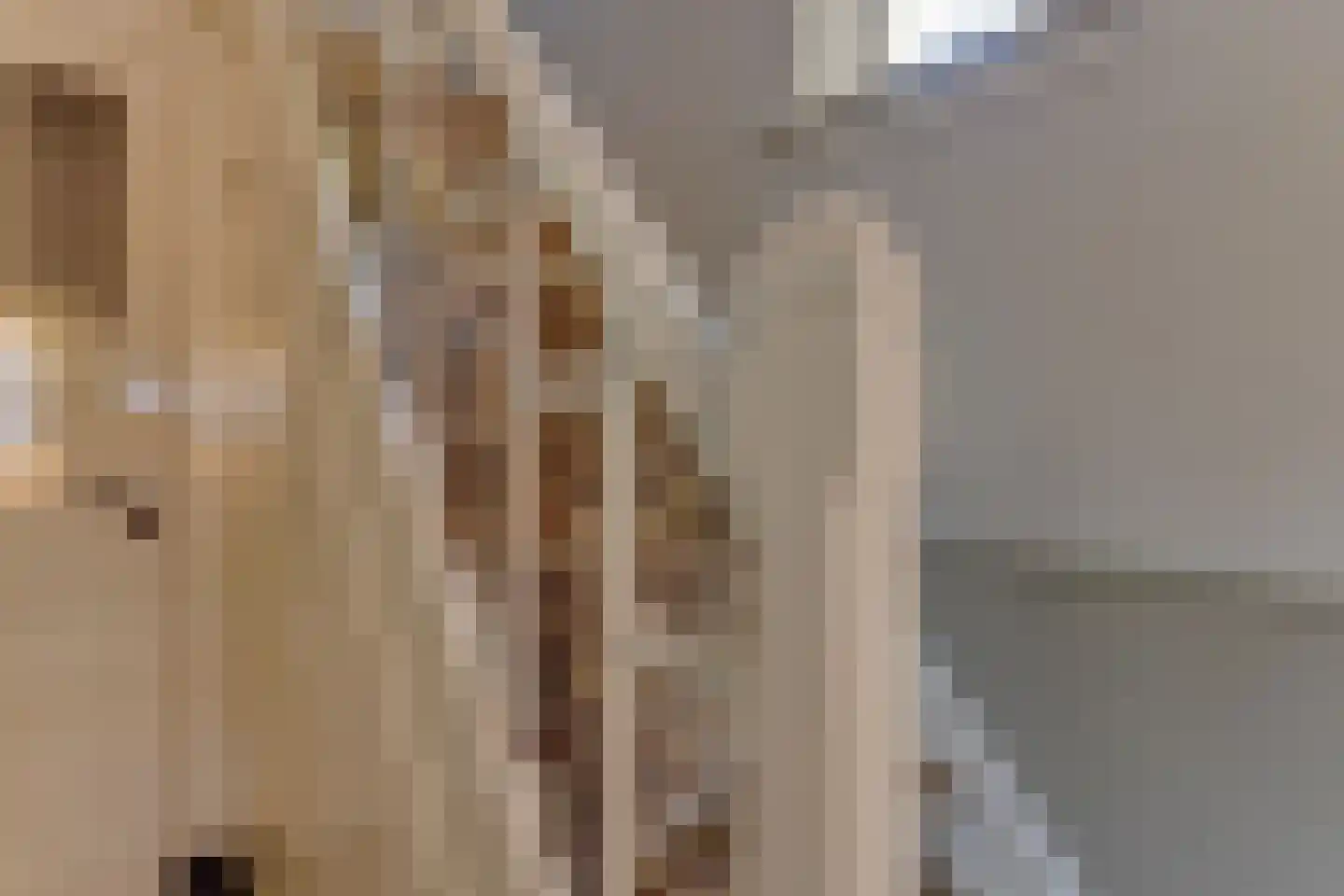 Raadhuisstraat 25 Graft thumbnail 17