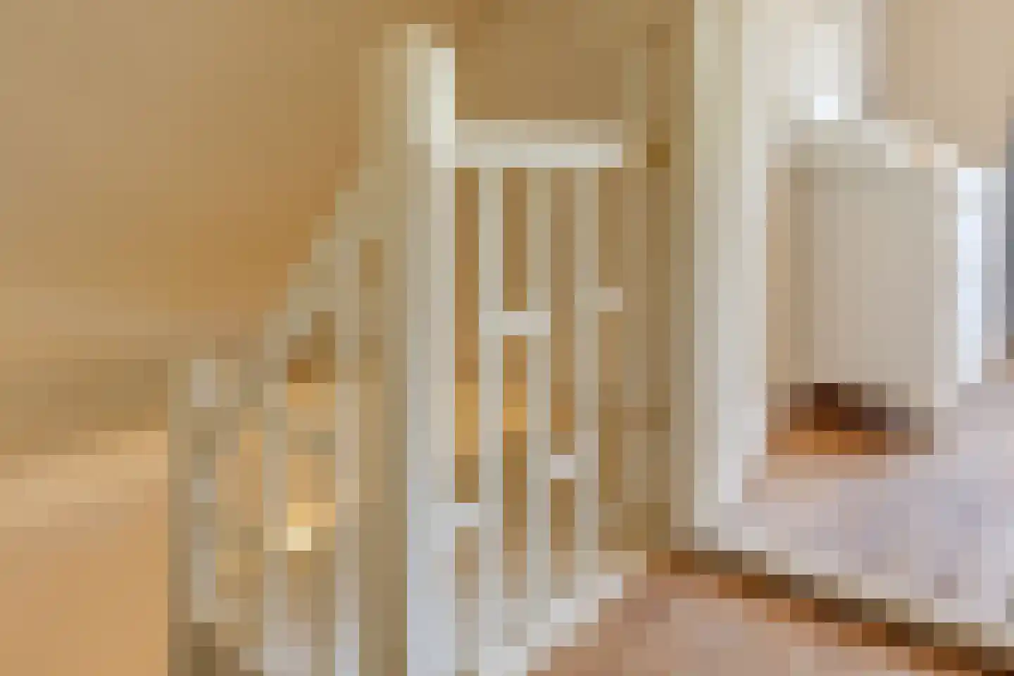 Raadhuisstraat 25 Graft thumbnail 18