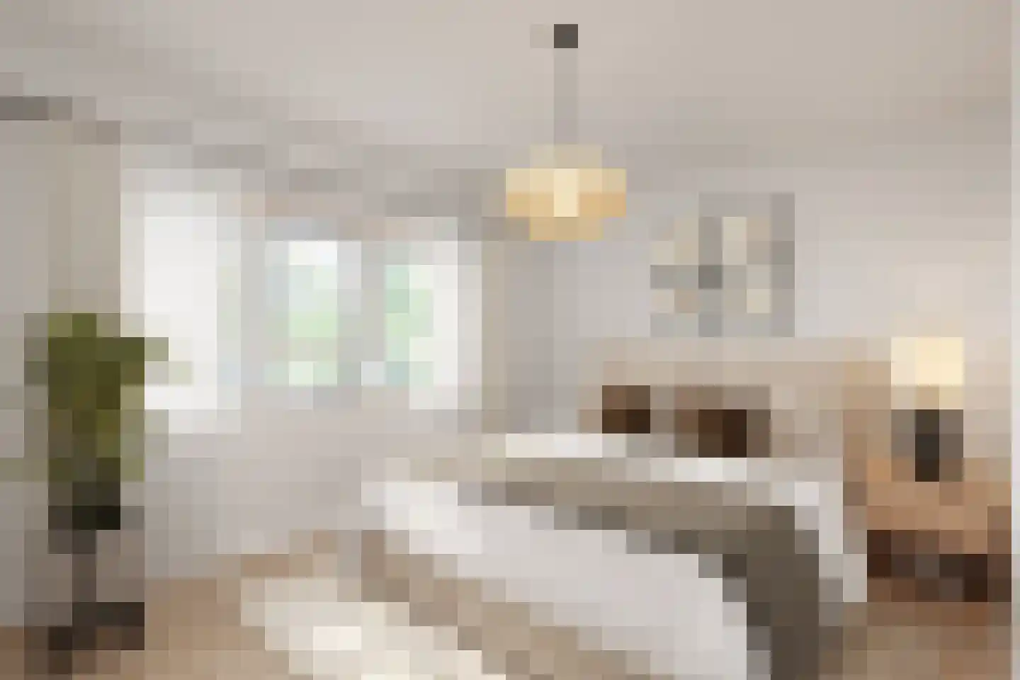 Raadhuisstraat 25 Graft thumbnail 20