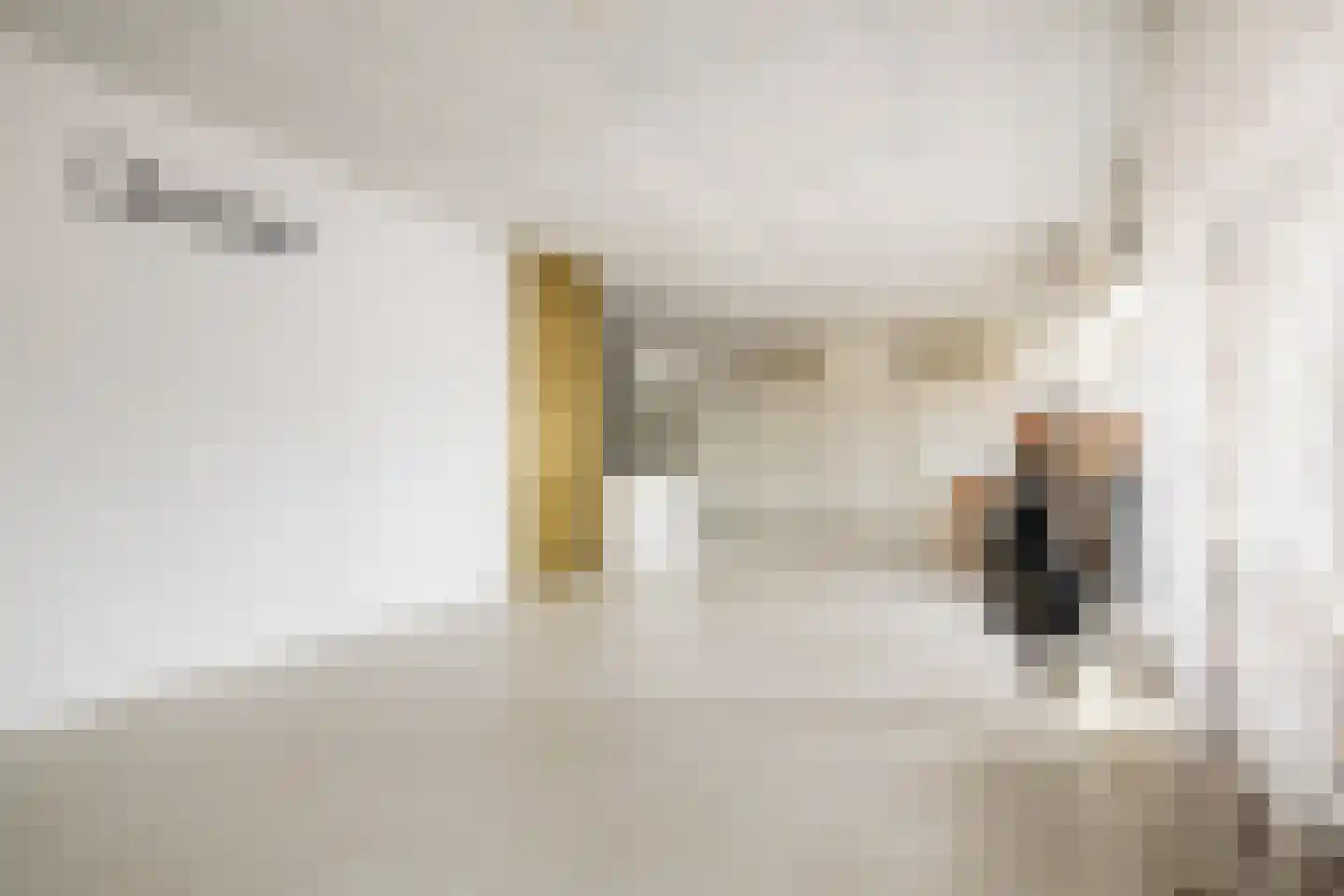 Raadhuisstraat 25 Oosthuizen thumbnail 10