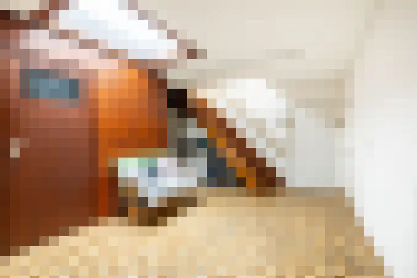 Raadhuisstraat 25 Oosthuizen thumbnail 15