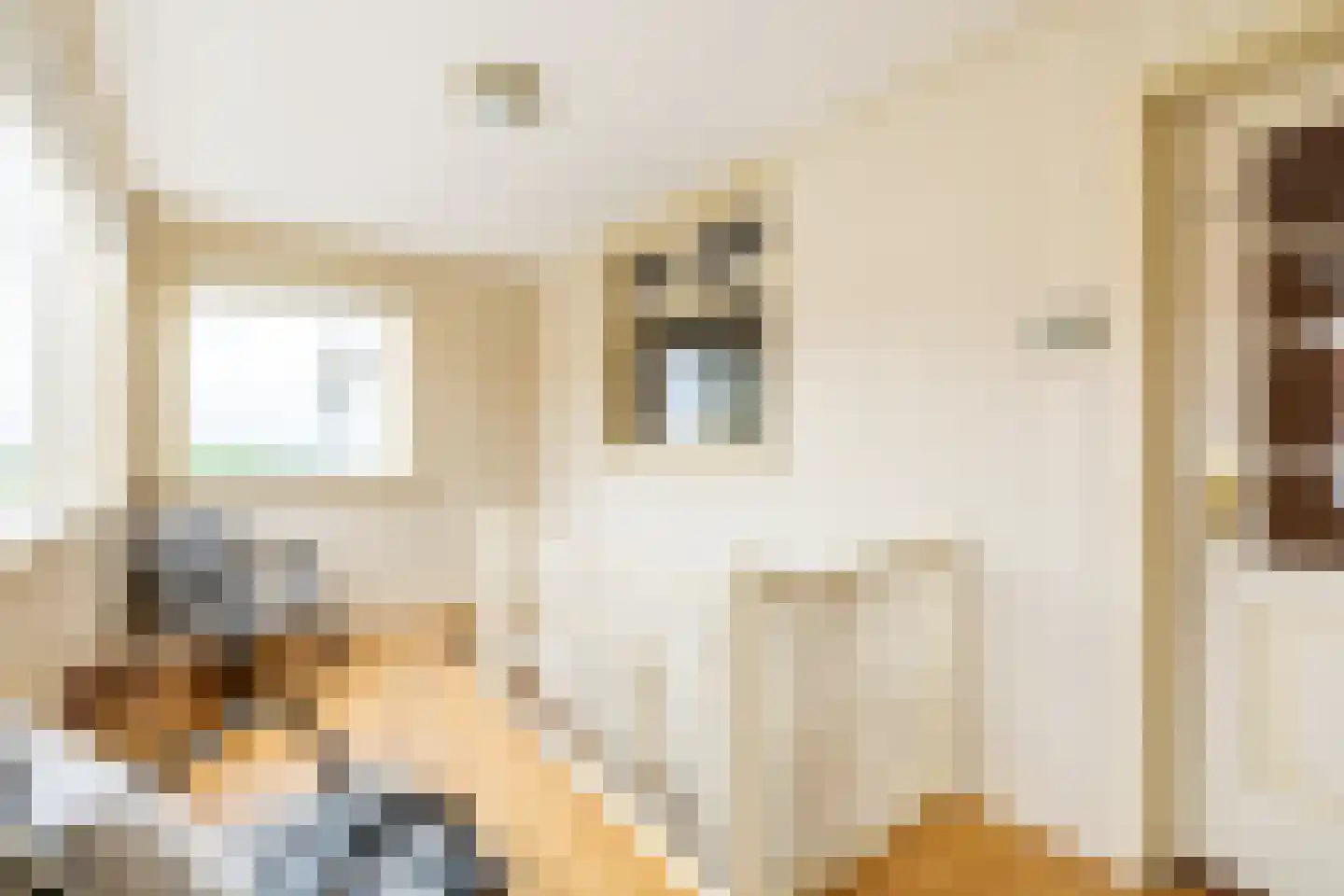 Raadhuisstraat 25 Oosthuizen thumbnail 26
