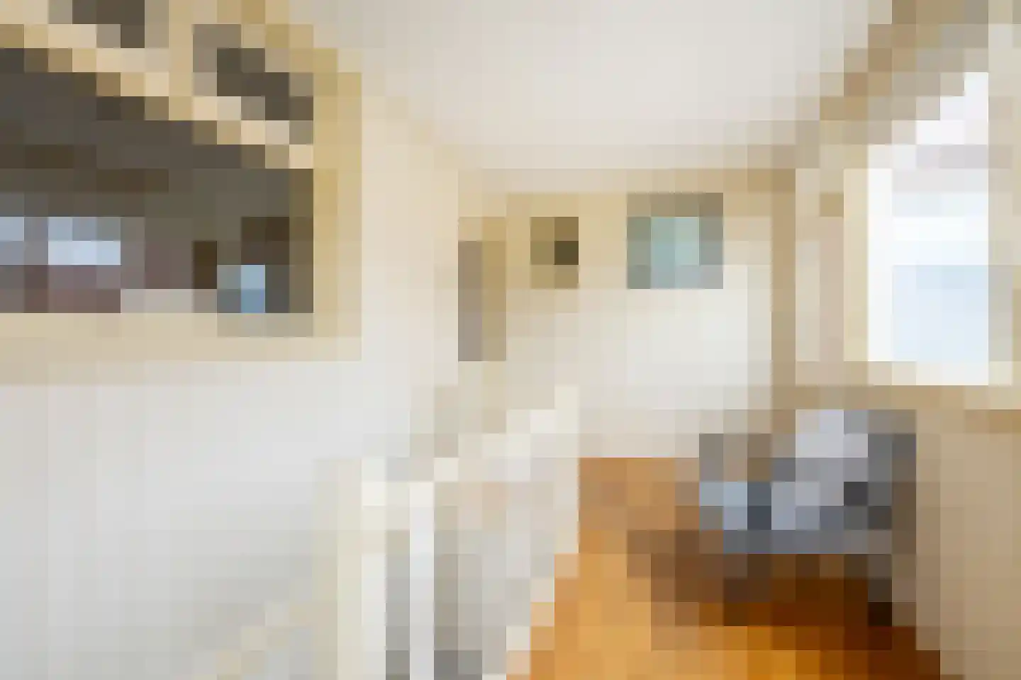 Raadhuisstraat 25 Oosthuizen thumbnail 28
