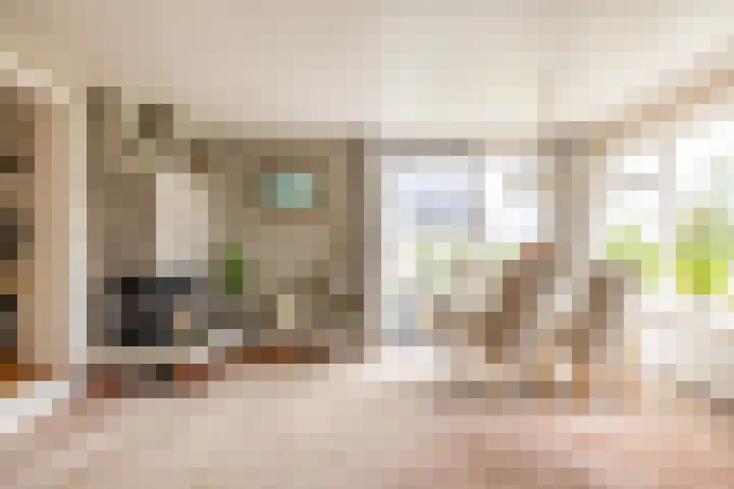 Raadhuisstraat 25 Oosthuizen thumbnail 33