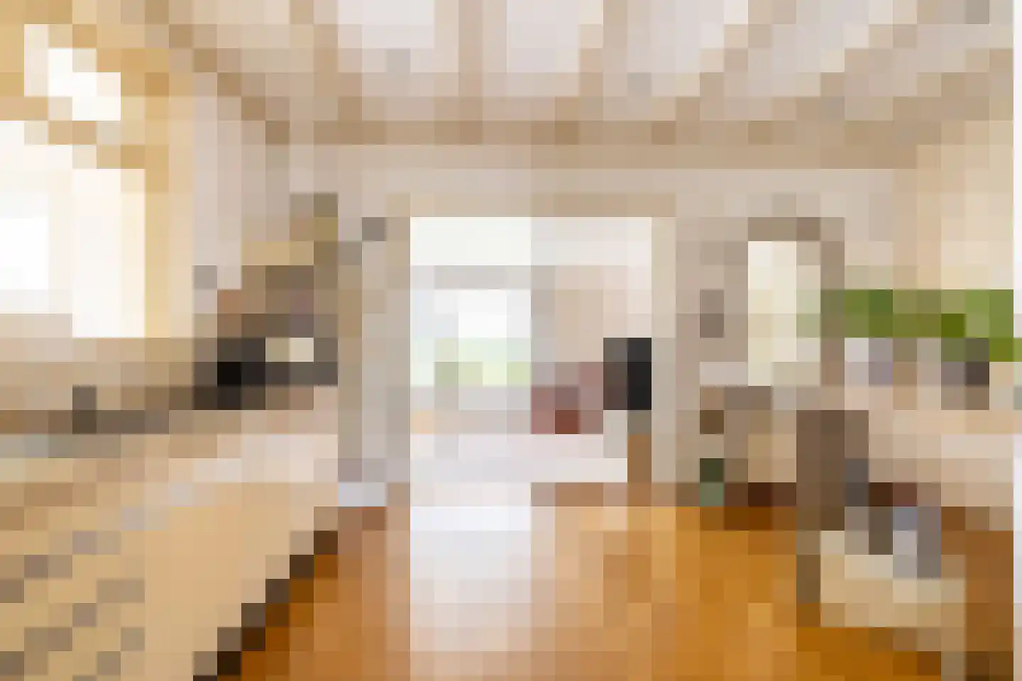 Raadhuisstraat 25 Oosthuizen thumbnail 36