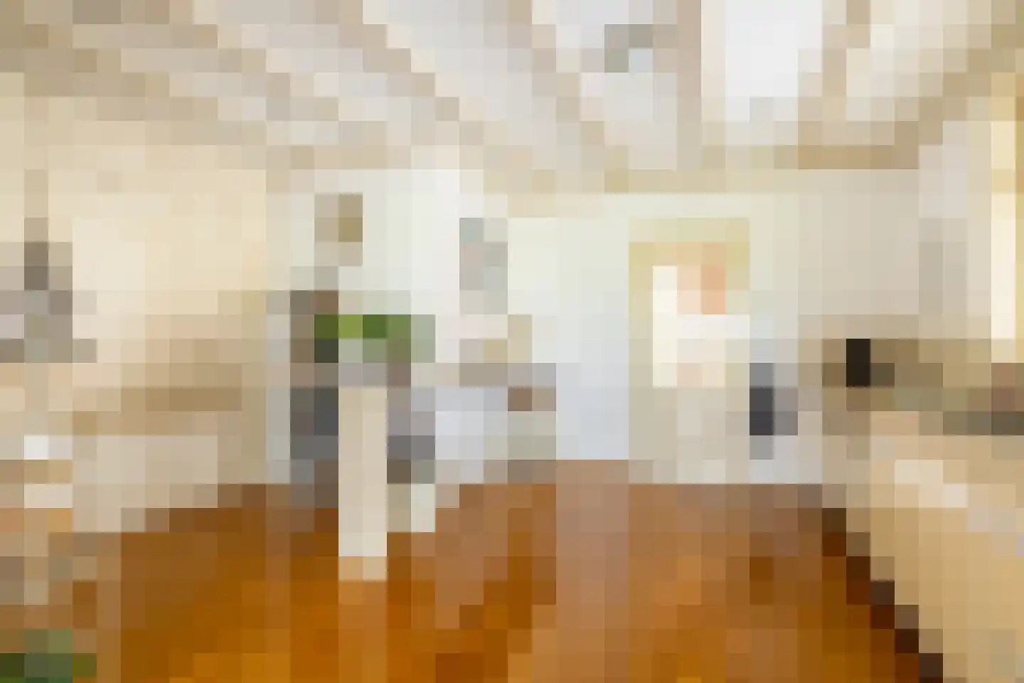 Raadhuisstraat 25 Oosthuizen thumbnail 37