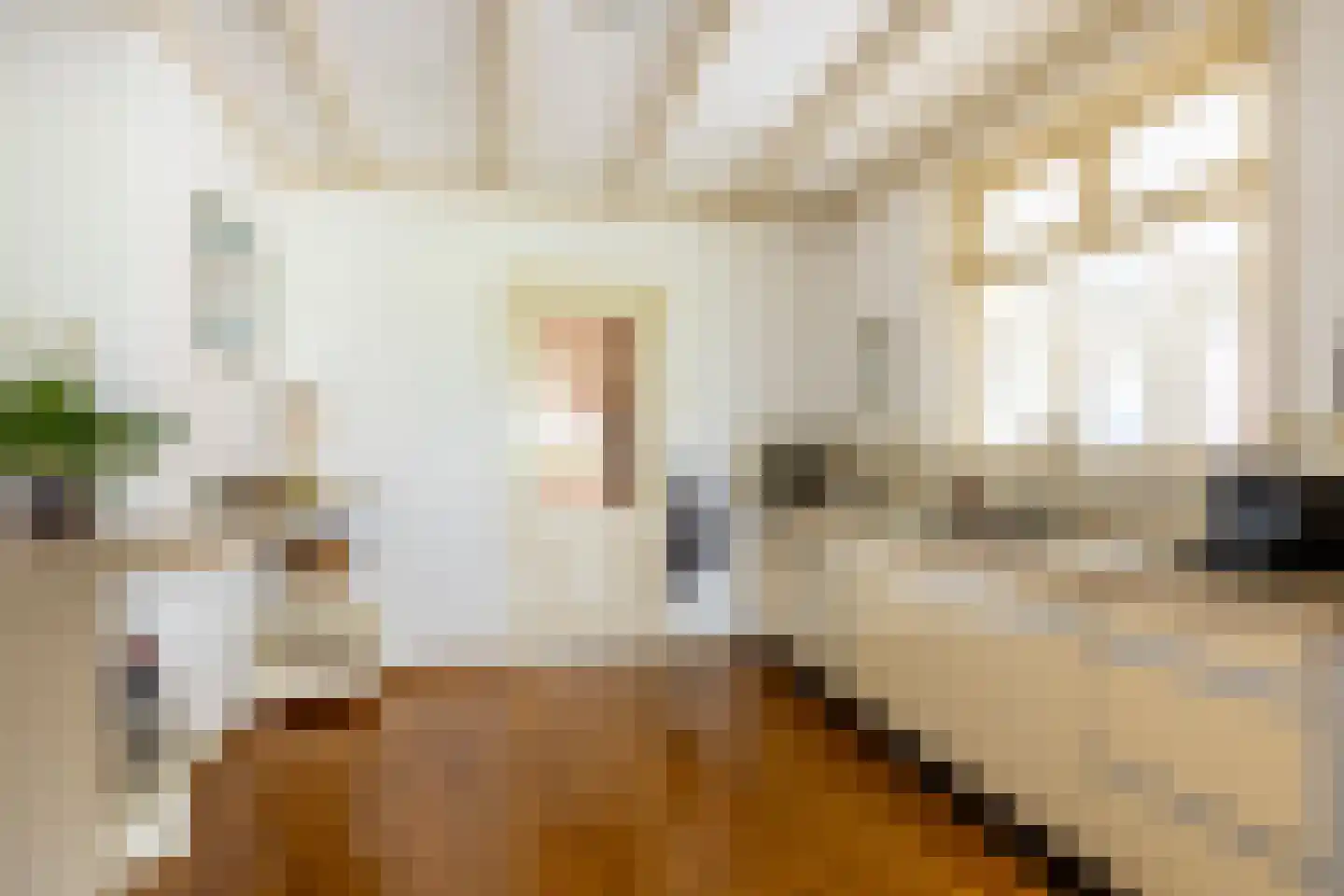 Raadhuisstraat 25 Oosthuizen thumbnail 39