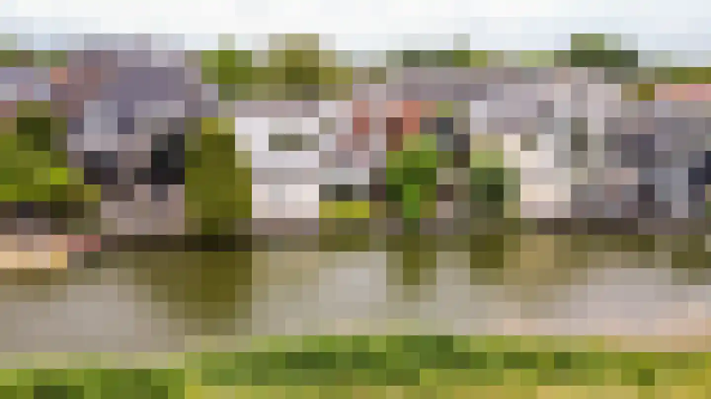 Raadhuisstraat 25 Oosthuizen thumbnail 4
