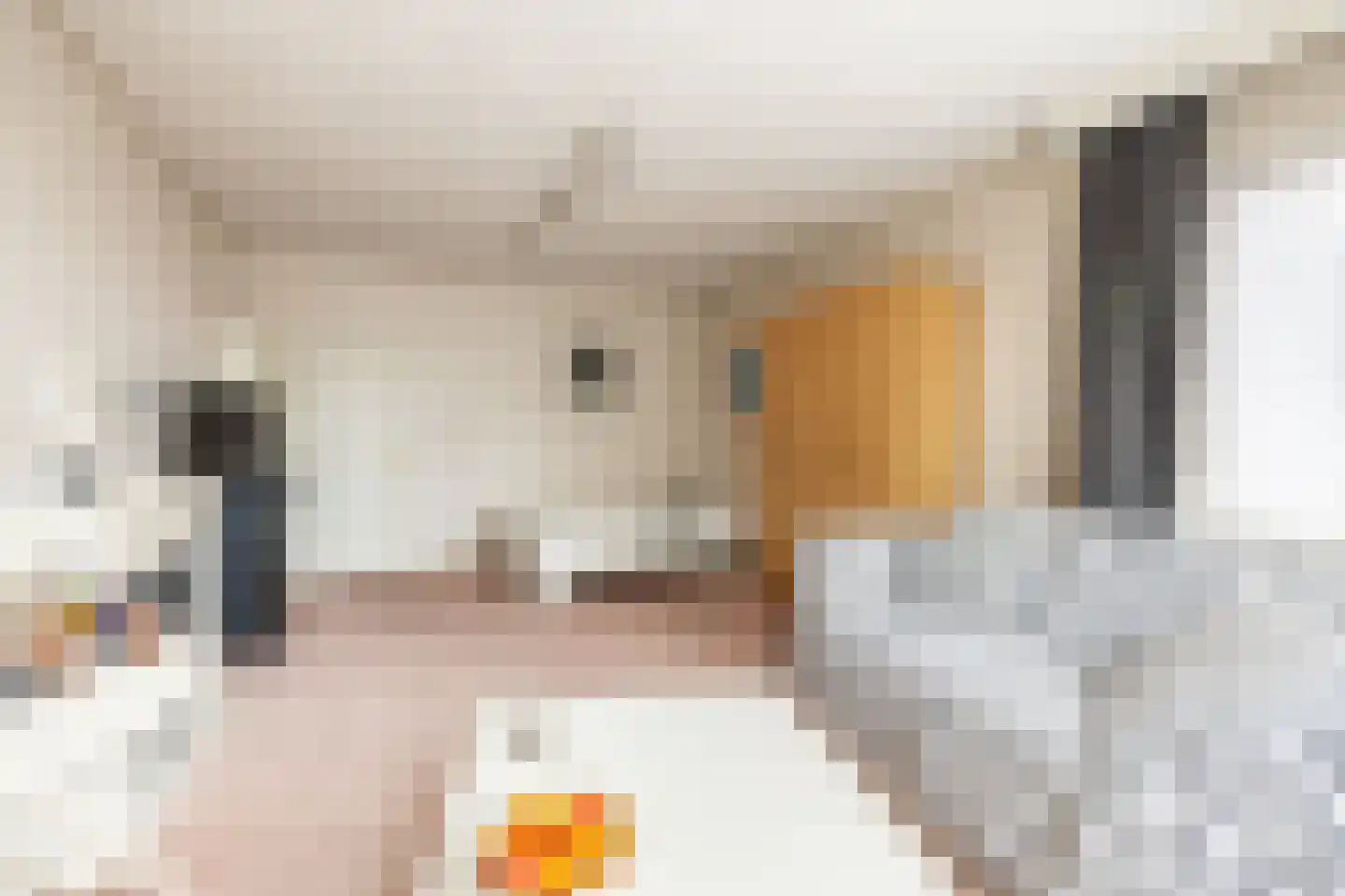 Raadhuisstraat 25 Oosthuizen thumbnail 43