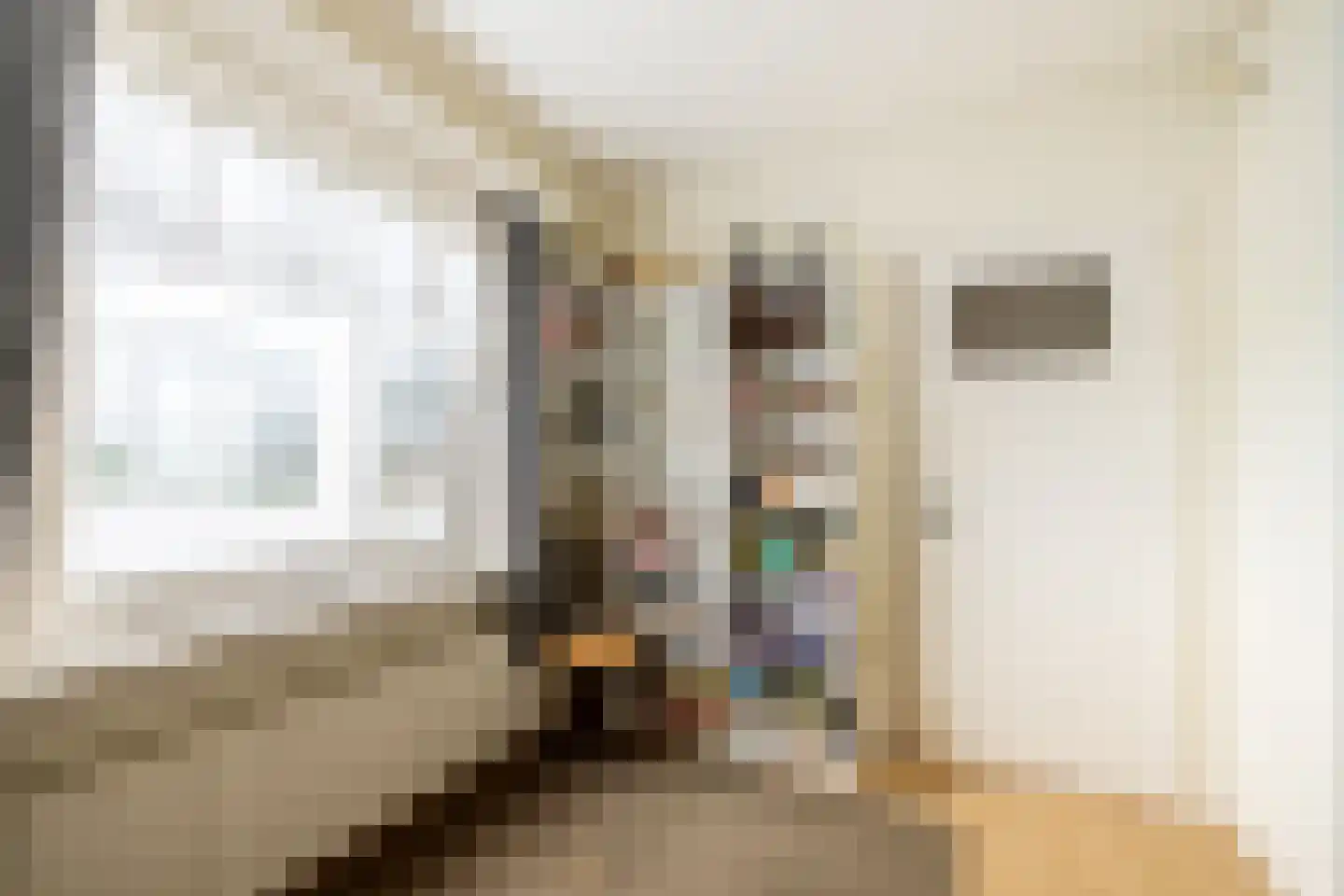 Raadhuisstraat 25 Oosthuizen thumbnail 48